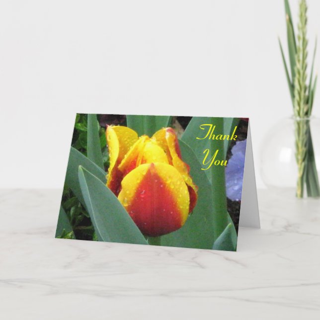 Carte De Remerciements red and yellow tulip thank (Devant)