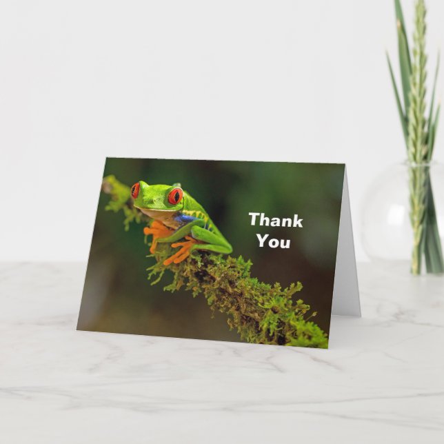 Carte De Remerciements Red Eyed Tree Frog Photo (Devant)