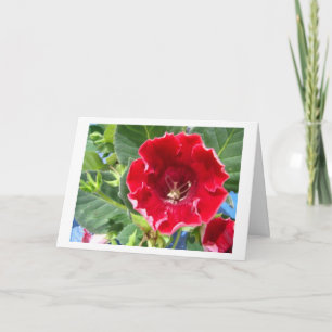 Carte De Remerciements Red géranium, beautiful friend