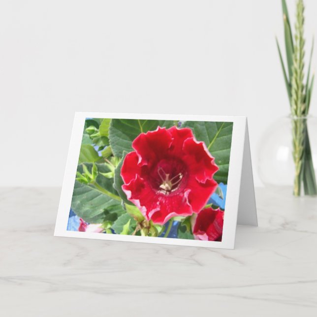 Carte De Remerciements Red géranium, beautiful friend (Devant)