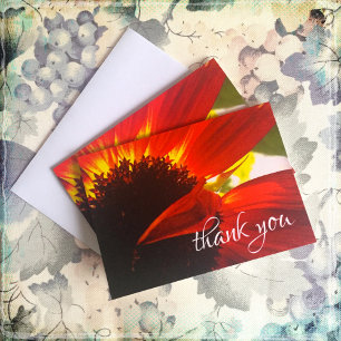 Carte De Remerciements Red orange daisy chic photo thank you note