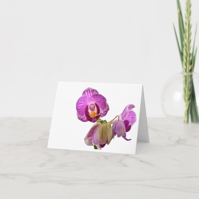 Carte De Remerciements Remarques miniatures sur l'orchidée (Devant)