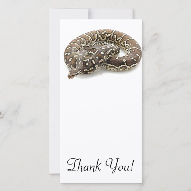 Carte De Remerciements Reptile de serpent de python (Devant)