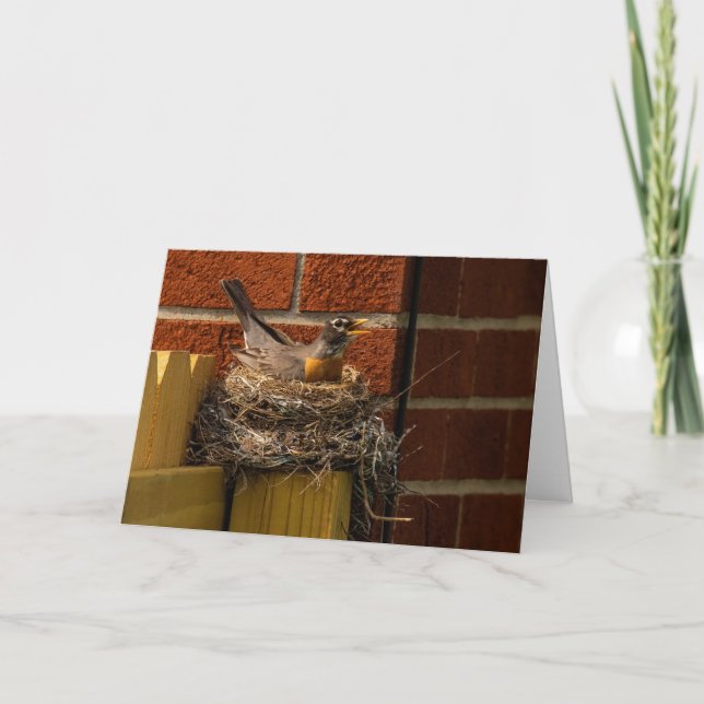 Carte De Remerciements Robin sur le nid (Devant)