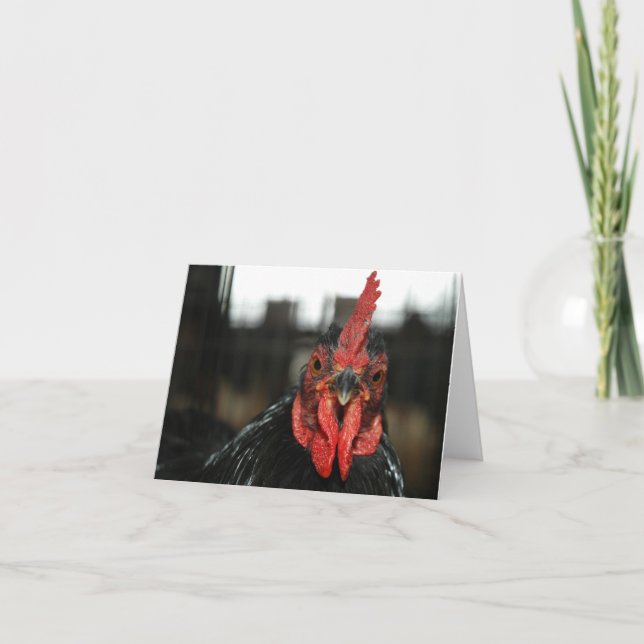 Carte De Remerciements Rooster rouge (Devant)
