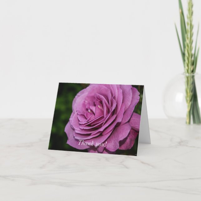 Carte De Remerciements Rose du jardin Magenta (Devant)