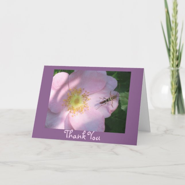 Carte de remerciements Rose sauvage (Devant)