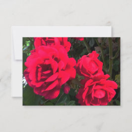 Carte De Remerciements Roses rouges florissantes