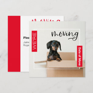 Carte De Remerciements Rouge Nous sommes en train de déplacer Dachshund D