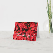 Rouge Poinsettias II Noël Fête Florale