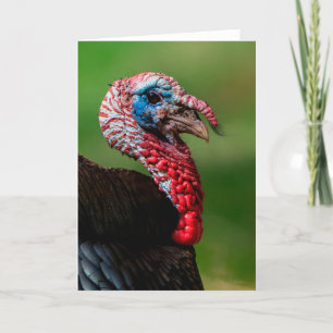 Carte de remerciements sauvage de Turquie