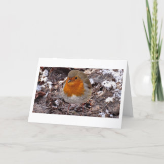 Carte De Remerciements Scènes d'hiver -Robin -Carte de voeux