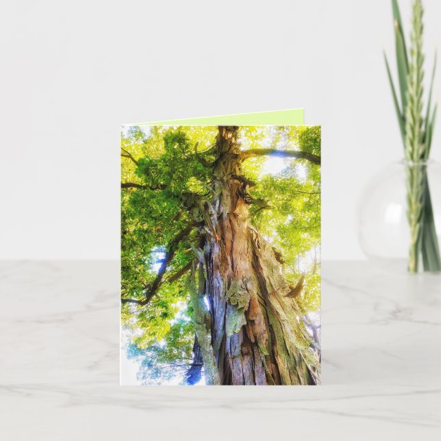 Carte De Remerciements Shagbark Hickory Greeting Card (Devant)