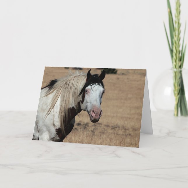 Carte De Remerciements Shaman WildCard (Devant)