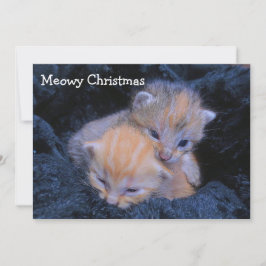 Carte De Remerciements Shelter kittens vacances
