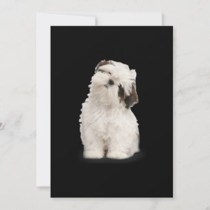 Carte De Remerciements Shih Tzu  Shih Tzu Puppy Gift
