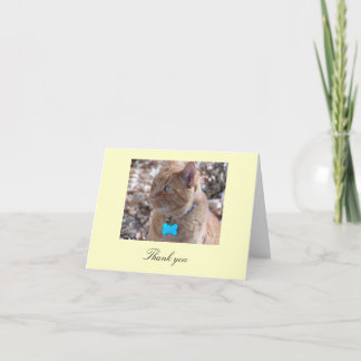 Carte de remerciements Slugger