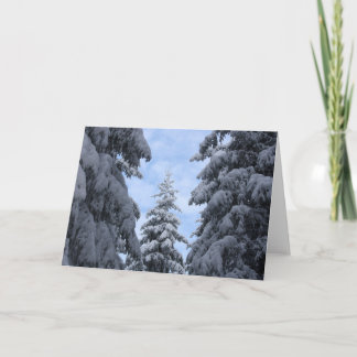 Carte De Remerciements SnowyPines