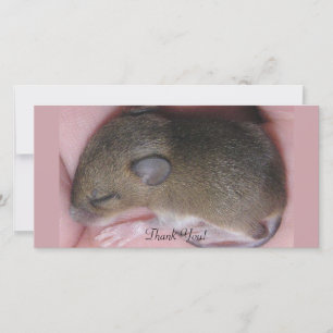 Carte De Remerciements Souris minuscule de bébé avec des sommeils mignons