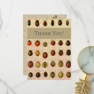 Carte De Remerciements Spécimen de coccinelle vintage Motif Insecte antiq