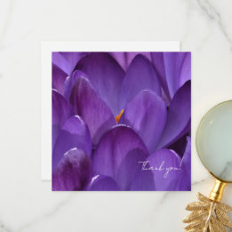 Carte De Remerciements Spring Crocus Flower Photography