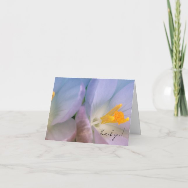 Carte De Remerciements Spring Crocus Photography (Devant)