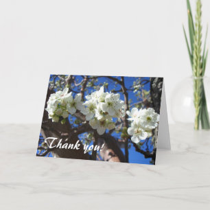 Carte De Remerciements Spring Flowering Pear Tree