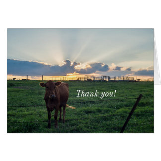 Carte de remerciements Sunset de la ferme de bovin