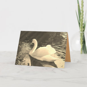 Carte De Remerciements Swan en Sepia