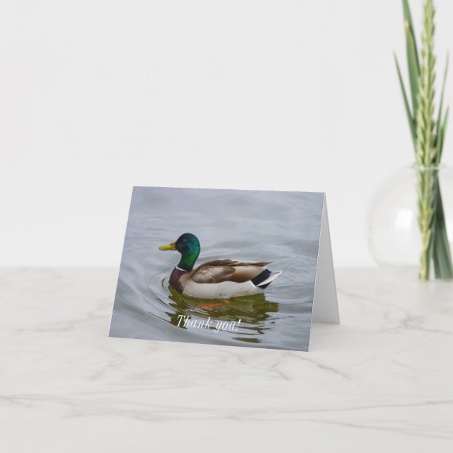 Carte De Remerciements Swim Mallard Swim (Devant)