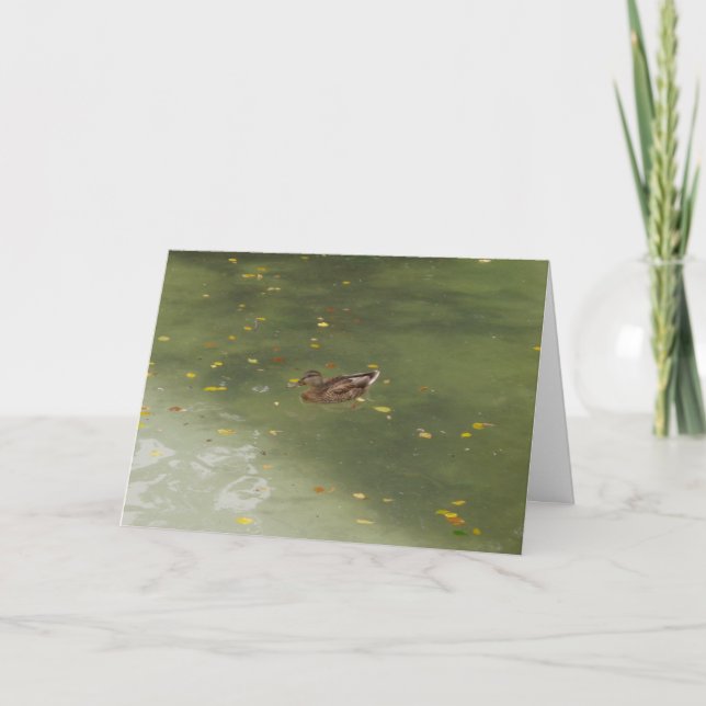carte de remerciements "Swimming Duck" (Devant)