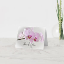 Sympathie pour les funérailles de l'orchidée rose 