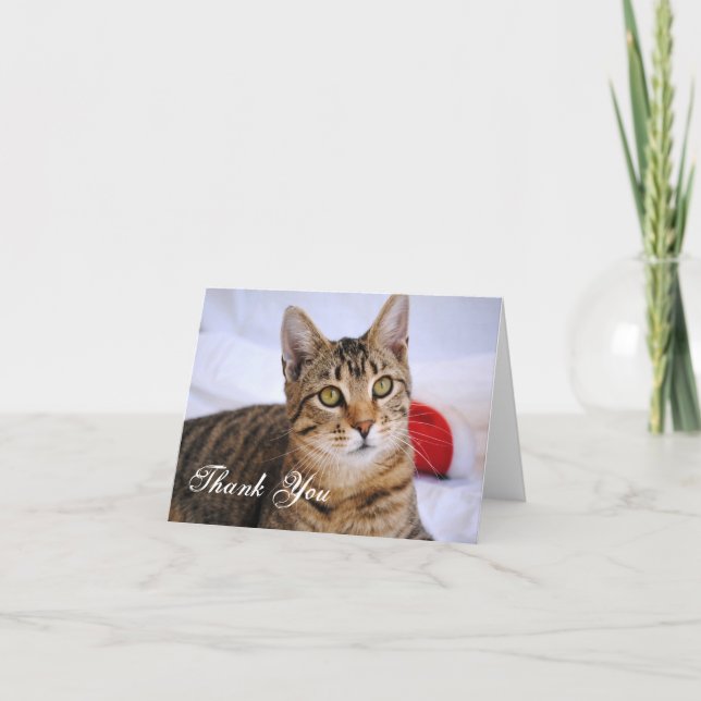 Carte de remerciements Tabby Cat (Devant)