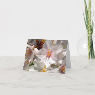 Carte De Remerciements Temps printanier