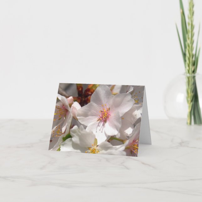 Carte De Remerciements Temps printanier (Devant)