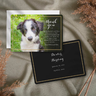 Carte De Remerciements Texte de photo de condoléances pour perte d'animal