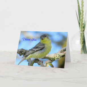 Carte De Remerciements Thank You