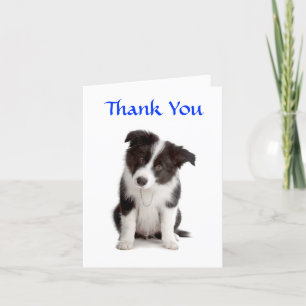 Carte De Remerciements Thank You Border Collie Puppy Greeting Card