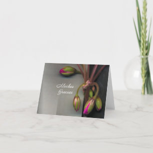 Carte De Remerciements Thank you card en Espagne