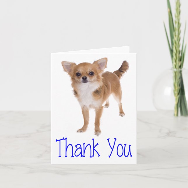 Carte De Remerciements Thank You Chihuahua (Devant)