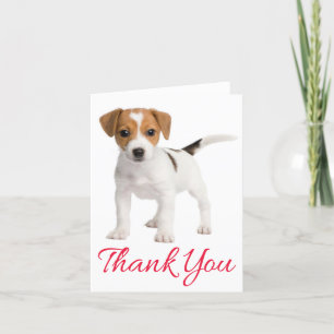 Carte De Remerciements Thank You Jack Russell Terrier Puppy Dog Blank