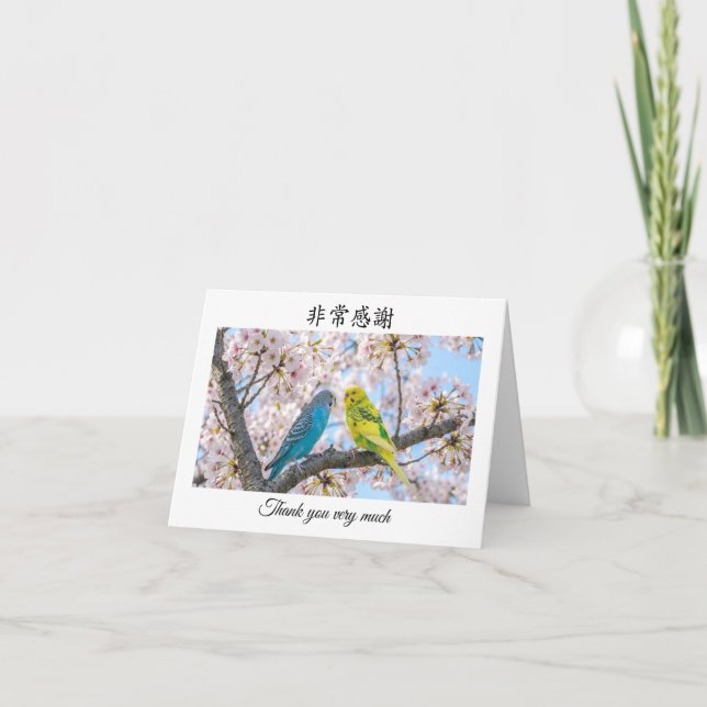 Carte De Remerciements Thank you very much in Chinese Mandarin Budgies  (Devant)