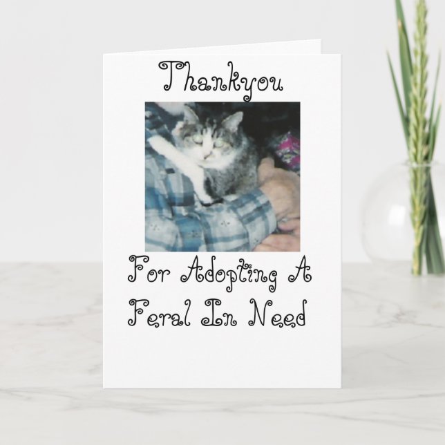 Carte De Remerciements Thankyou-Feral Cat (Devant)