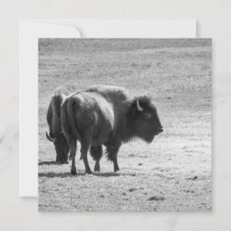 Carte De Remerciements The Mighty Buffalo 