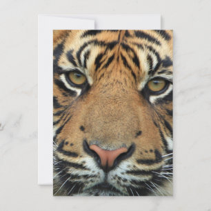 Carte De Remerciements Tiger face