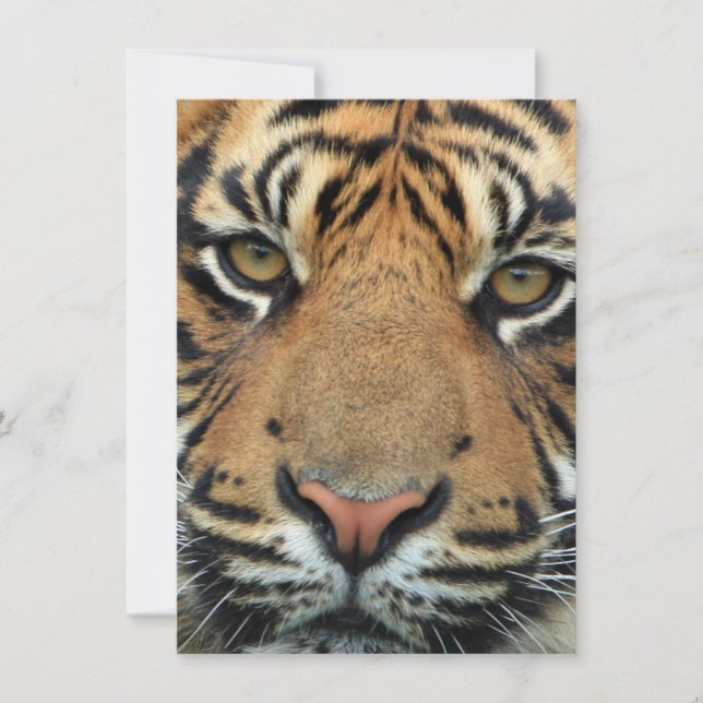 Carte De Remerciements Tiger face (Devant)
