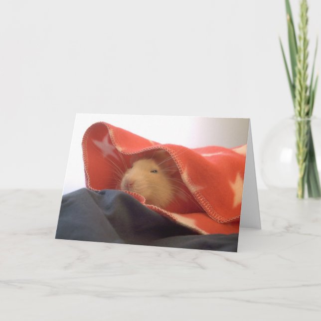 Carte De Remerciements Tout le rat américain (Devant)