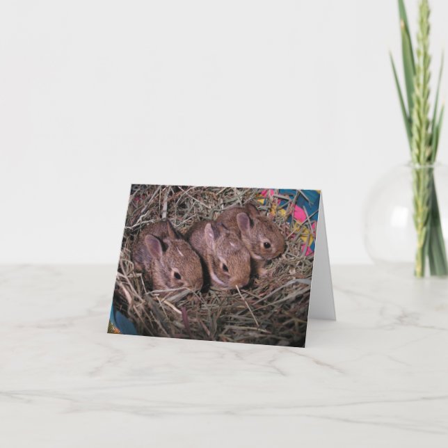 Carte De Remerciements Trois d'affilée  (Devant)