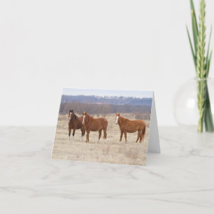 Carte De Remerciements Trois Mustangs sauvages