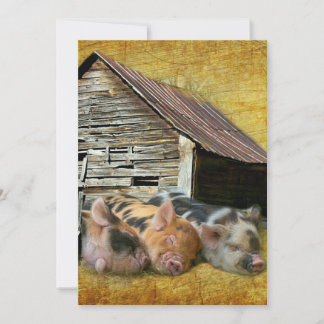 Carte De Remerciements Trois Petits Cochons À La Grange Rustique Snoozing